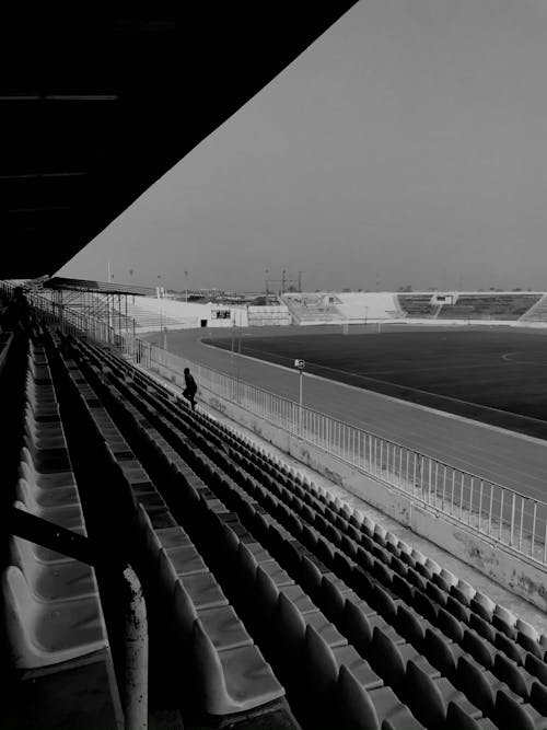 Immagine gratuita di bianco e nero, campo da calcio, gradinata