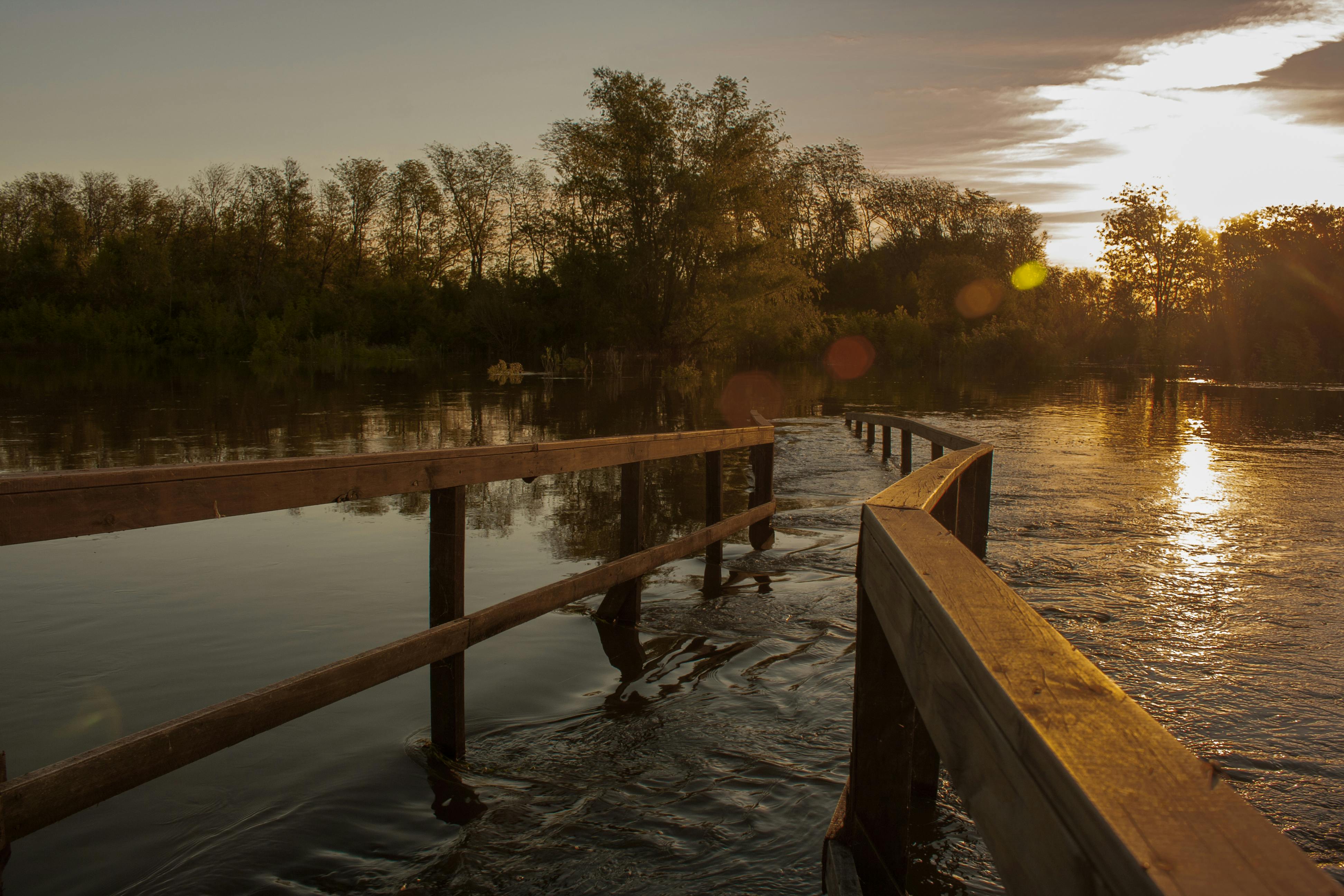 Wood Processing & Value Addition