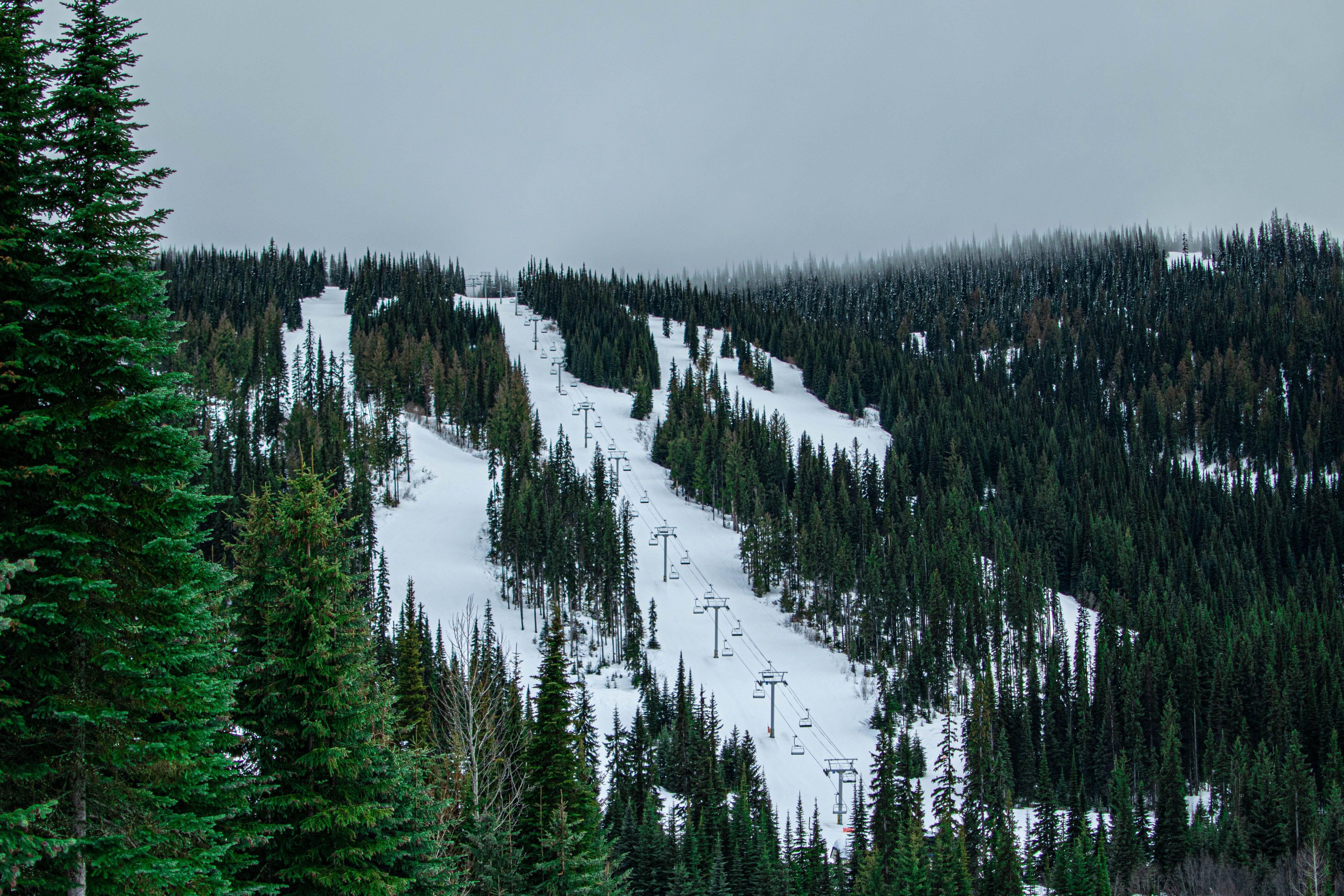 A breathtaking view of Sun Peaks ski slopes covered in snow and surrounded by pine trees in British Columbia, Canada.