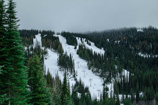 A breathtaking view of Sun Peaks ski slopes covered in snow and surrounded by pine trees in British Columbia, Canada.