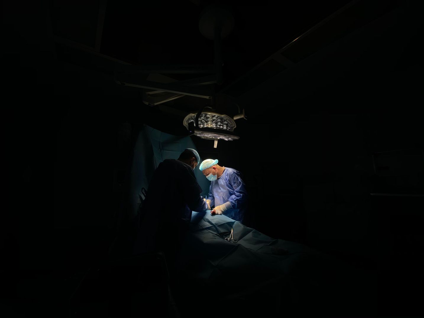 Picture of Perianal Gland Tumor Symptoms, Causes, and Treatment in Dogs