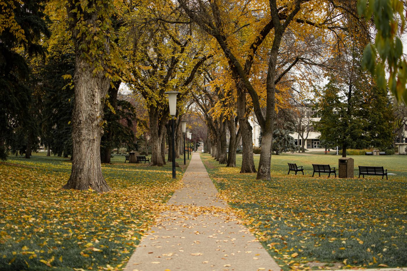 Aga Khan Garden
