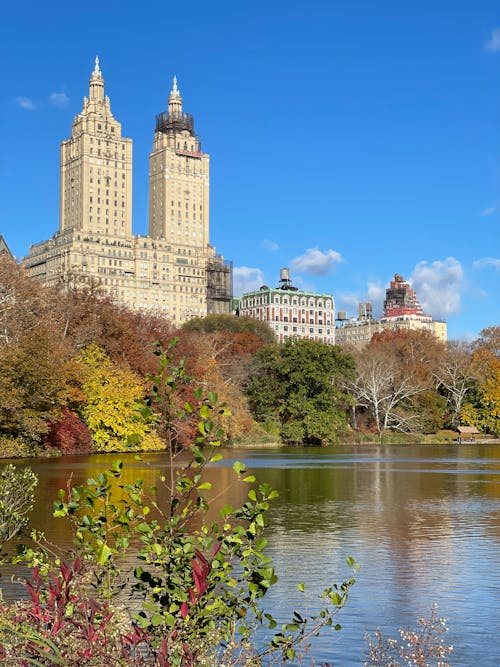 Gratis stockfoto met bomen, central park, de san remo