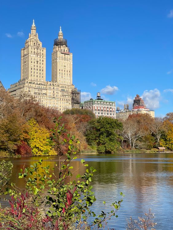 Attractions Near High-Rise Buildings photo