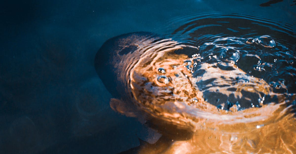 Best way to breathe underwater in Minecraft bedrock