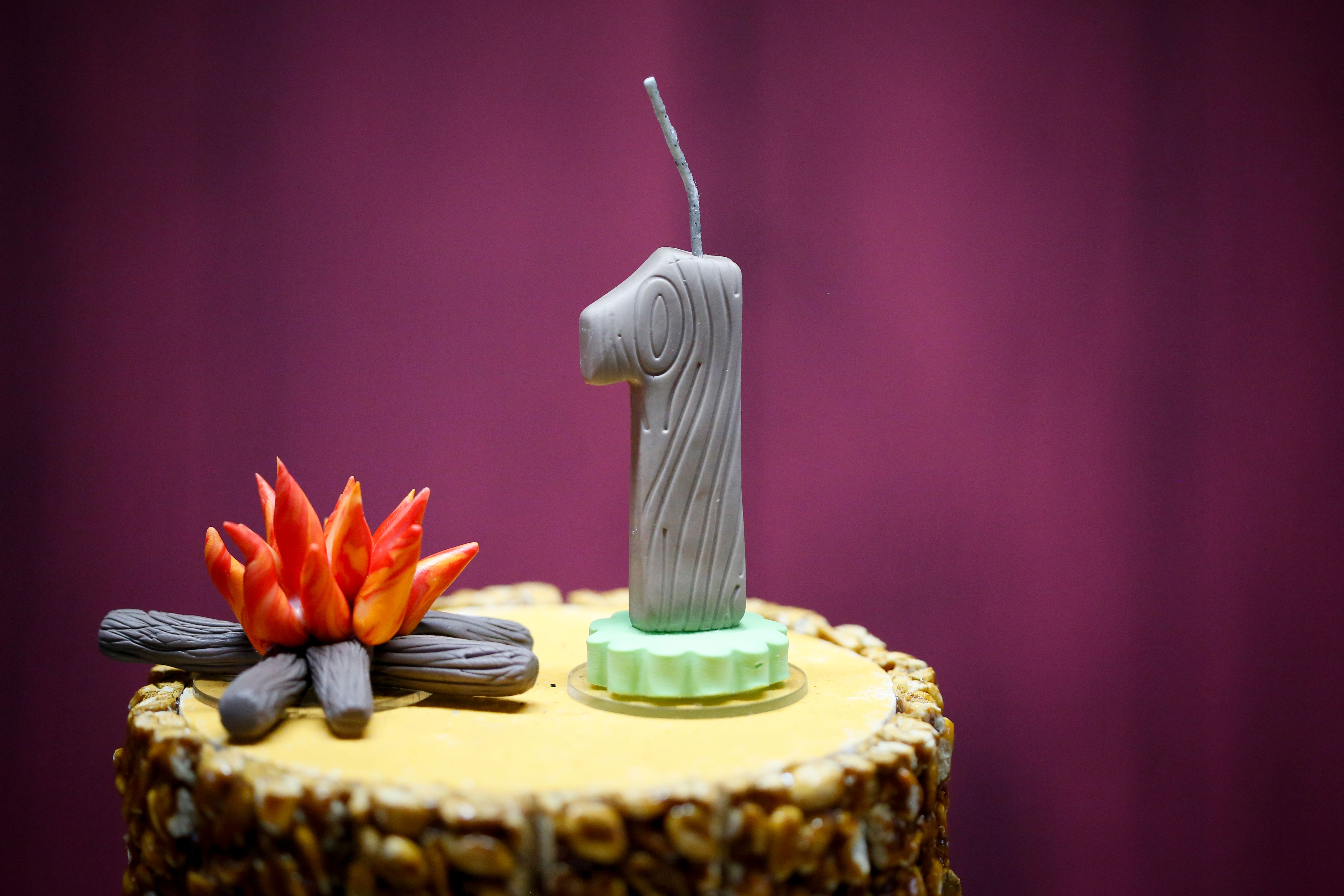 Rustic themed cake with a log-style candle for a one-year celebration against a violet backdrop.