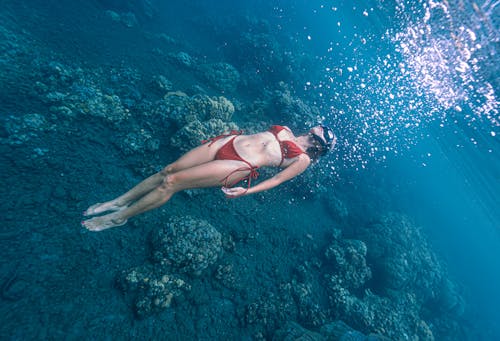 Free stock photo of bikini, diver, diving Stock Photo