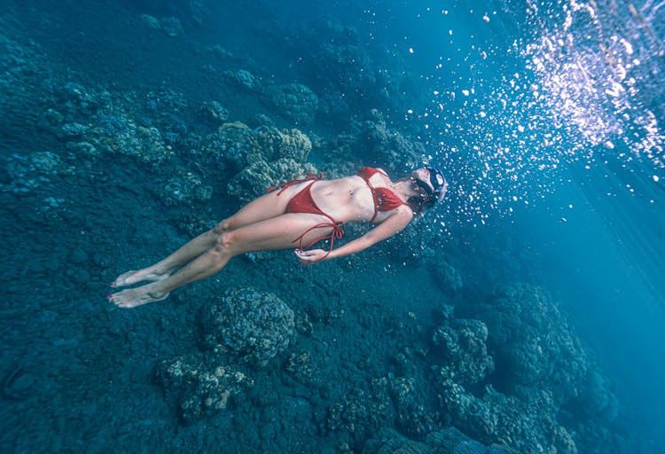 Woman In Bikini Diving