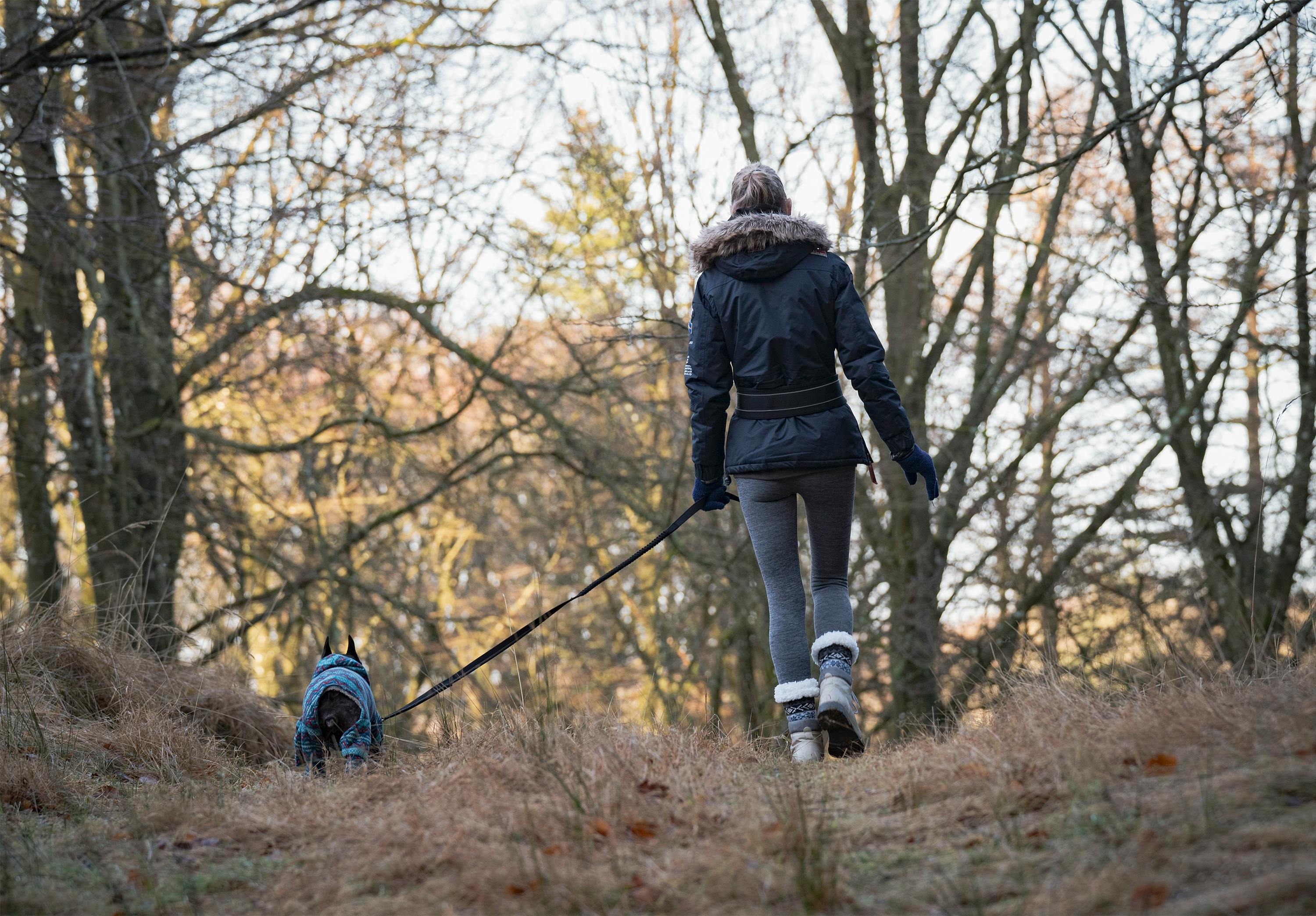 How Weather Affects Your Dog's Nose: Tips for Keeping It Healthy