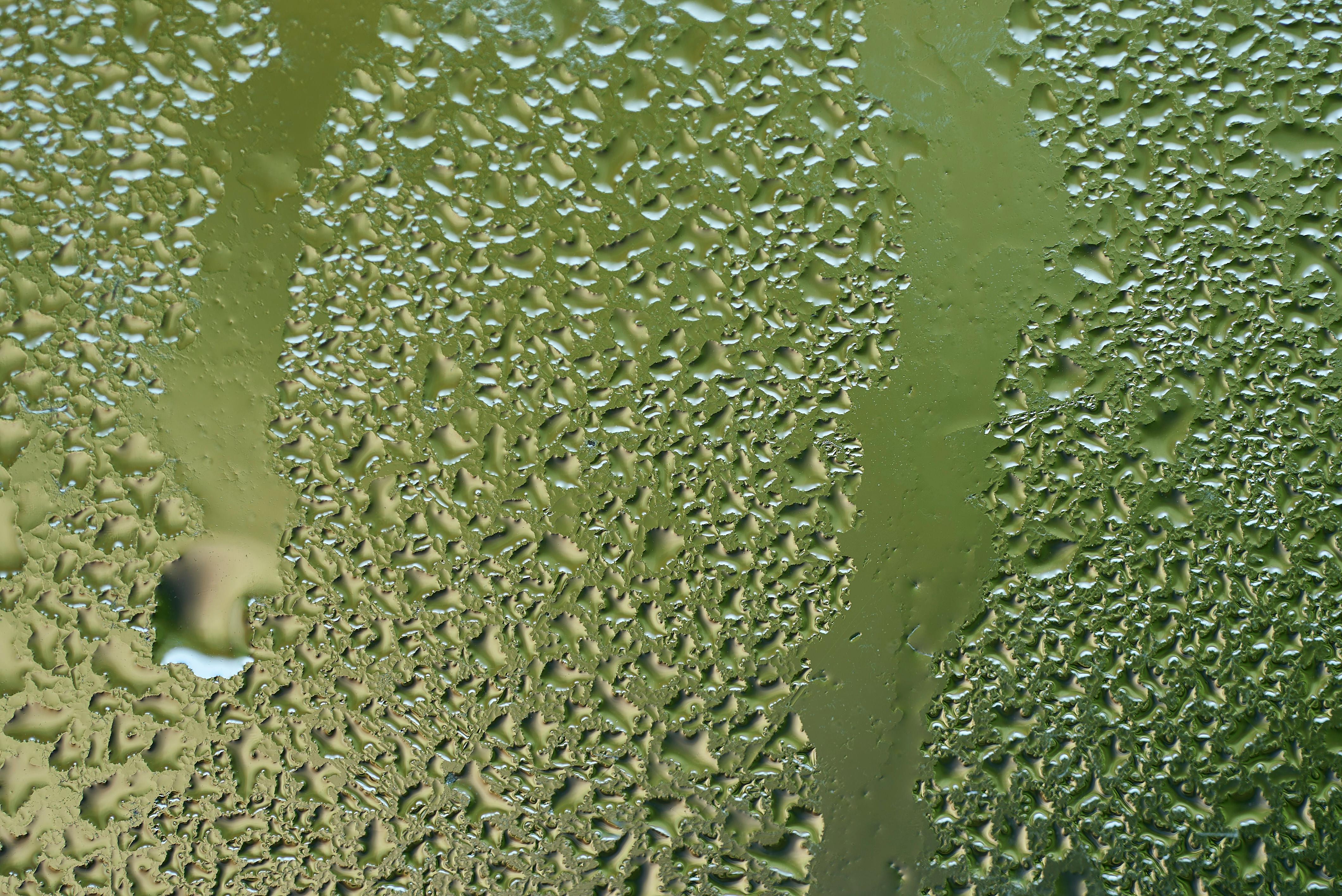 Close-up of raindrops on a green glass surface, capturing texture and wetness.