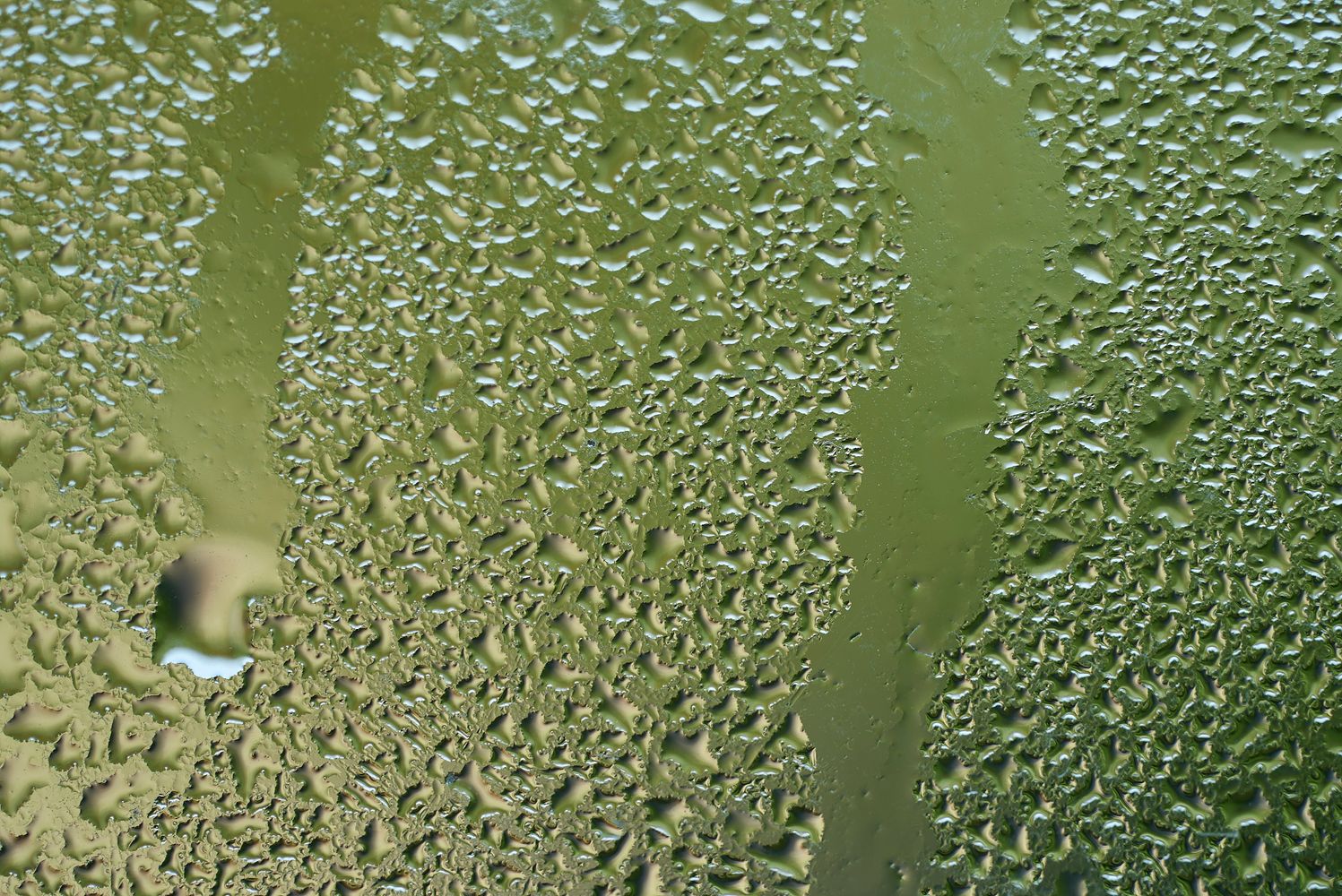 Humid Weather Photos, Download The BEST Free Humid Weather Stock Photos ...
