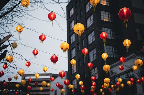 Lanterns Hanging Between Trees