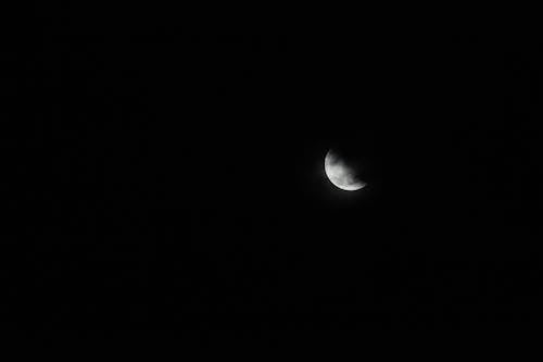 Half Moon in the Dark Night Sky