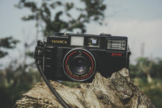 A classic Yashica camera displayed on a tree stump with a blurred natural background.