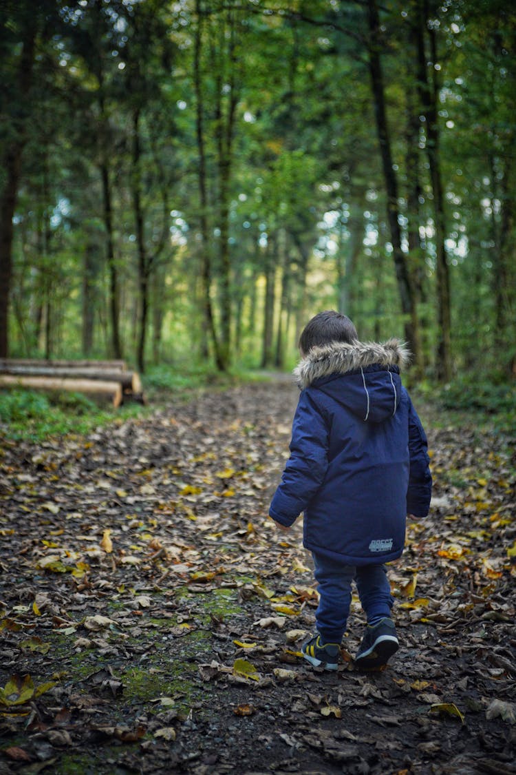 A Kid Walking In The Forest Trail