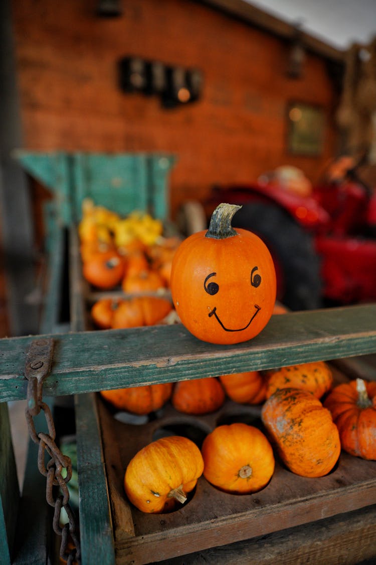 Pumpkin With Face On Shelf