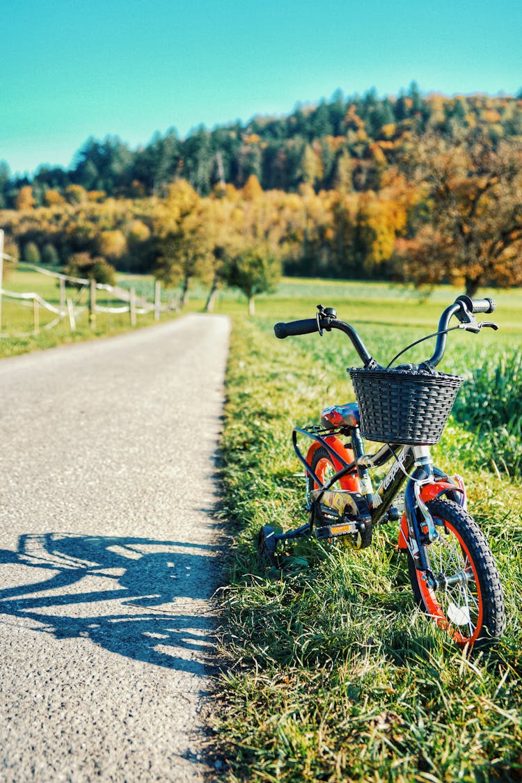 Bicycle Near Countryside Path