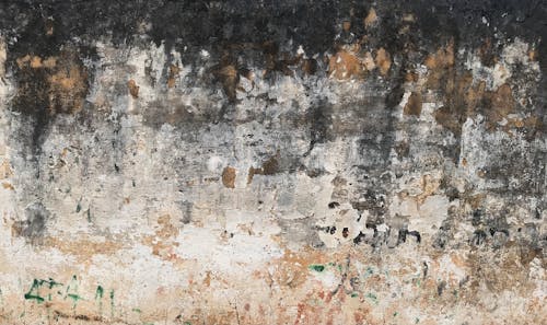 갈라진, 벽, 손상된의 무료 스톡 사진
