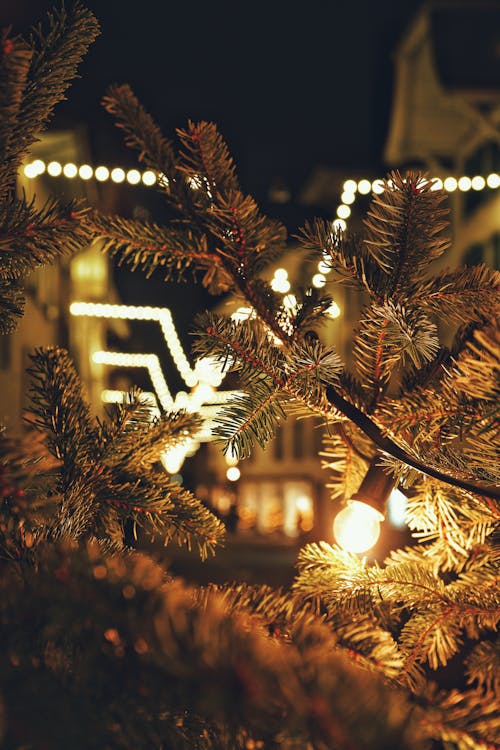 クリスマス, シティ, ライトの無料の写真素材