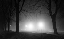 Free stock photo of backlit, black and white, dark