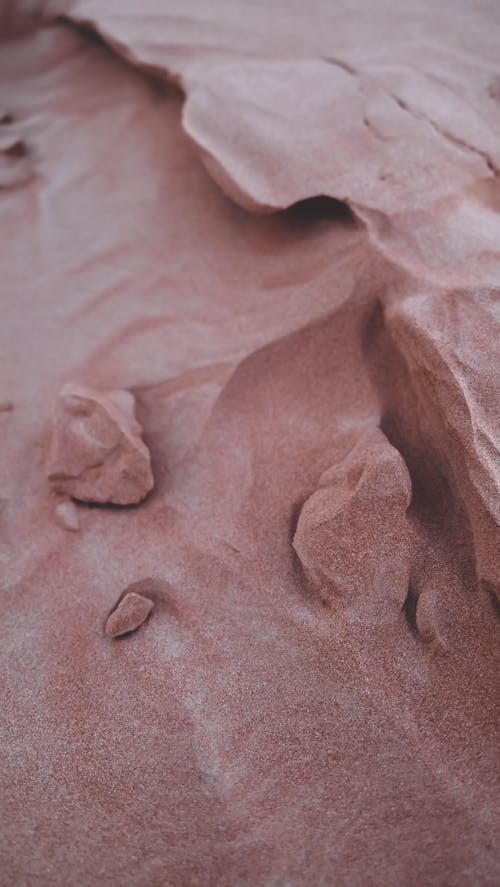 Základová fotografie zdarma na téma detail, duny, hnědá
