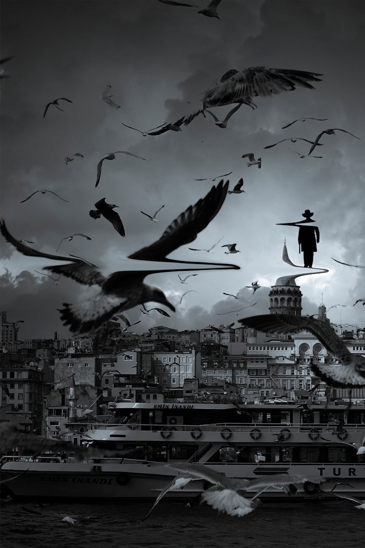 Flock Of Birds Flying Over City Buildings 