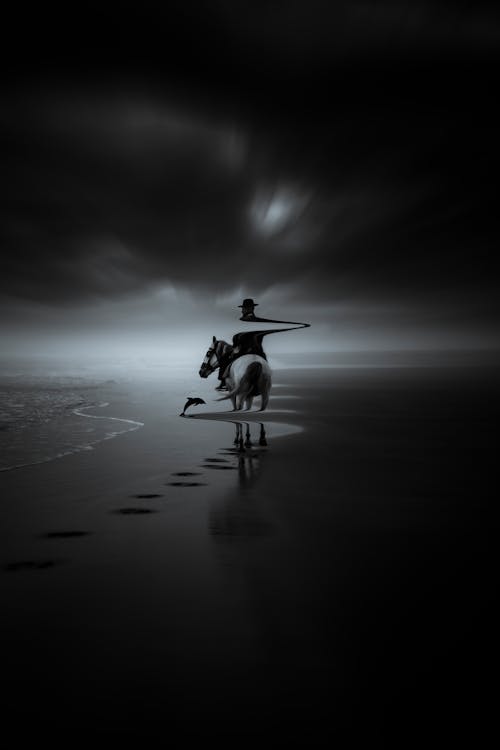 Surreal Picture of Horse, Horse Rider and Dolphin on Beach 