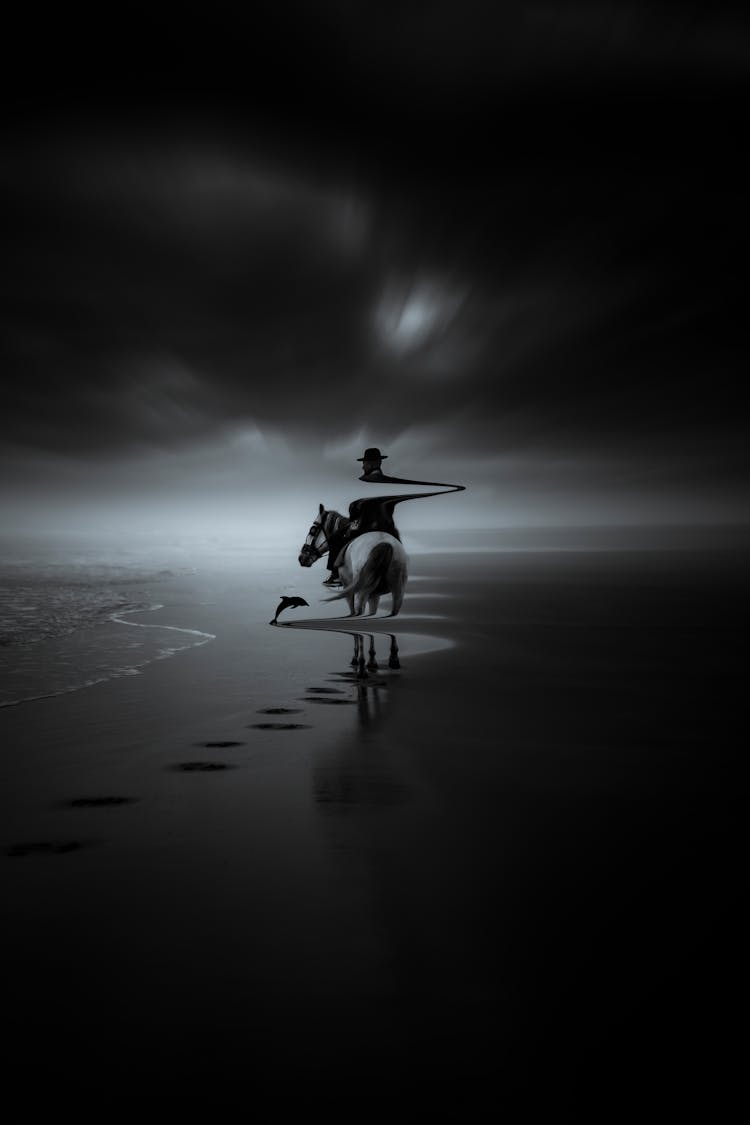 Surreal Picture Of Horse, Horse Rider And Dolphin On Beach 