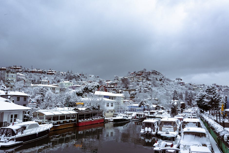 Renovation Services in Highland Creek