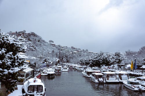 Winter Landscape of Harbor with Snow Covered Yachts