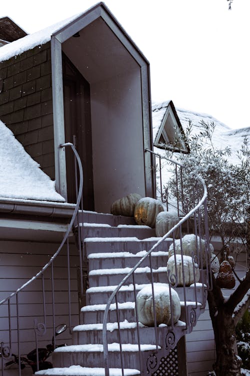 Pumpkins on a Staircase