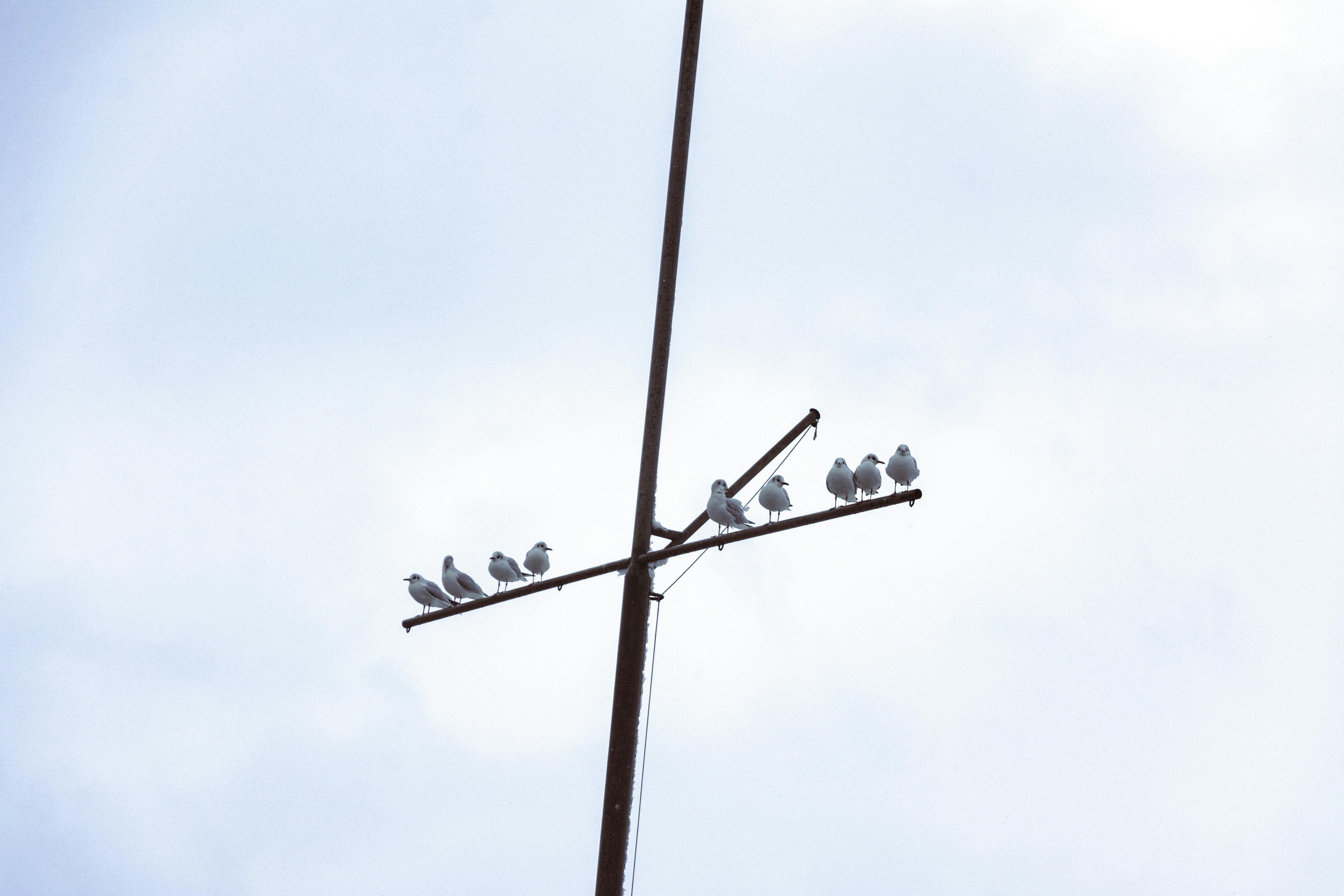 Gratis stockfoto met antenne, aviaire, bewolkt Stockfoto