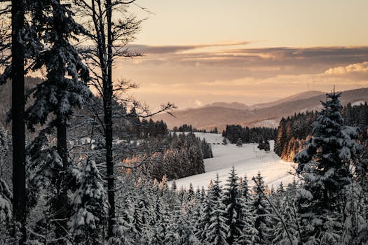 Captivating winter forest landscape with snowy trees and mountains at sunset.