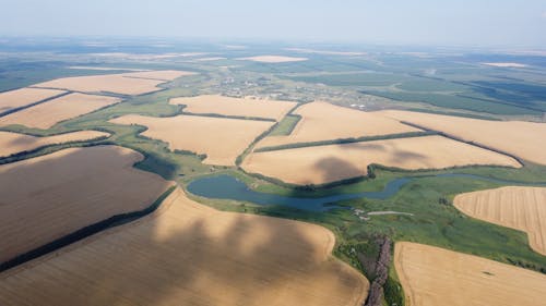 Bird's-eye View of Fields