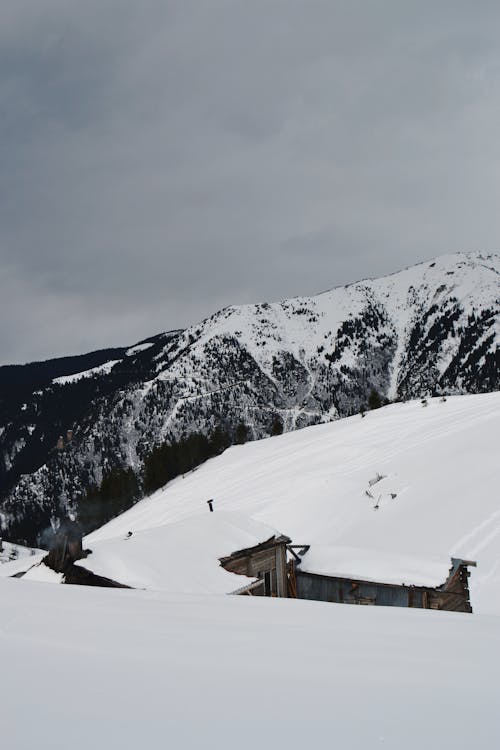 Fotos de stock gratuitas de casas, frío, invierno