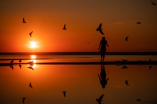 Silhouette of a Woman Walking on the Beach