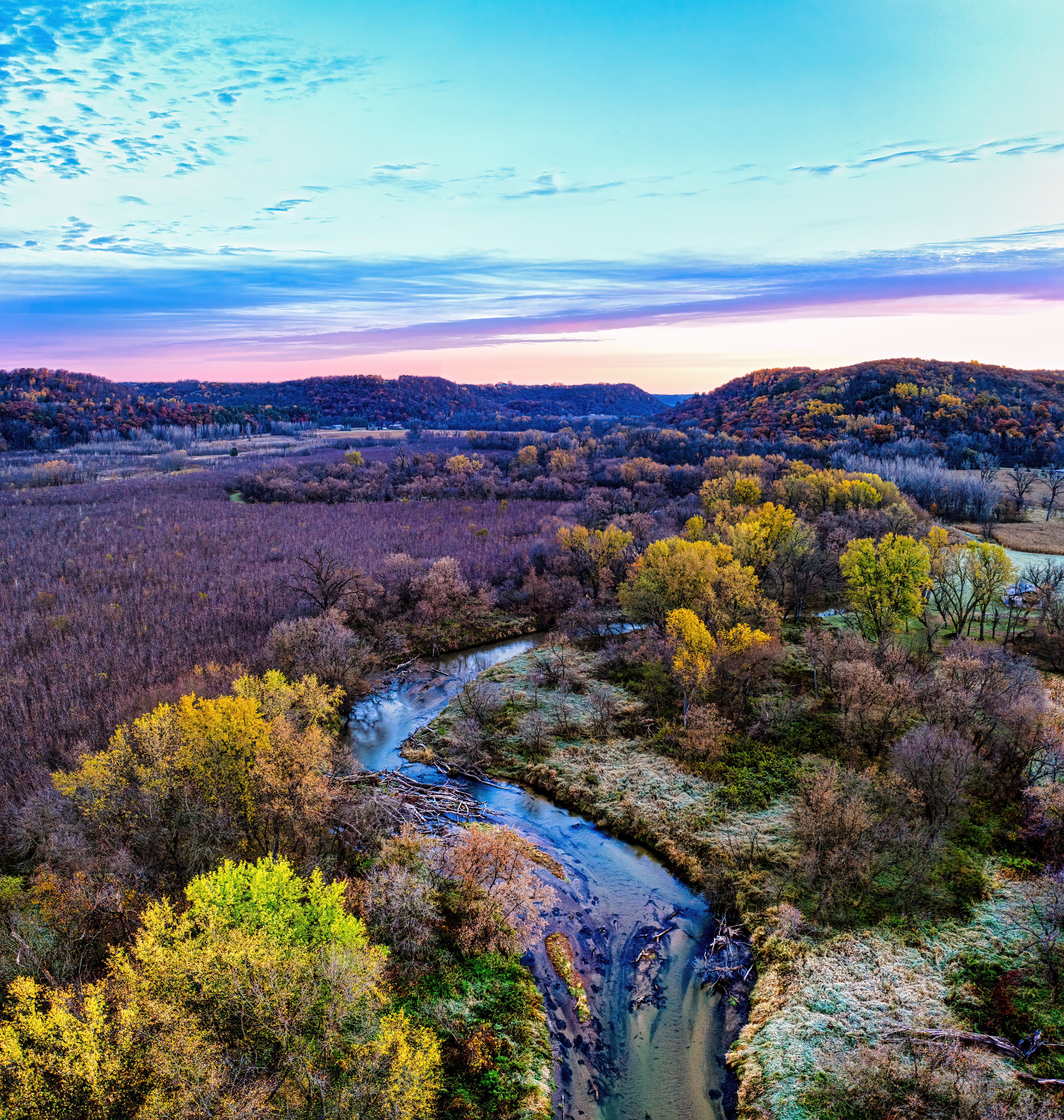 Trees near a Narrow River · Free Stock Photo