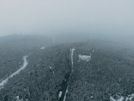 Aerial view capturing a foggy winter forest landscape in Hacıkadem, Uşak, Turkey, featuring snow-covered trees and a curving road.