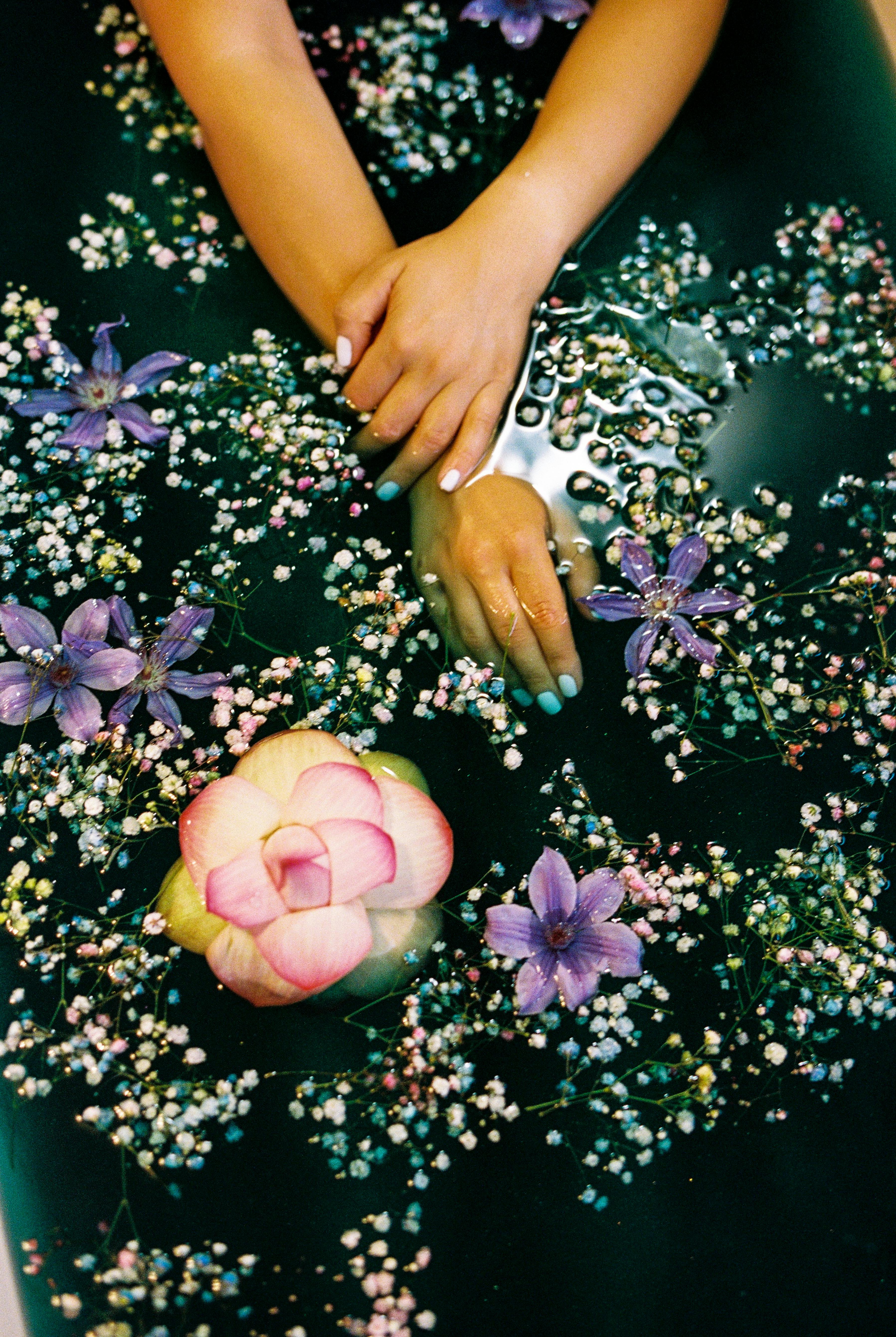 Why Do Dogs Have Wet Noses? Discover The Fascinating Truth! 5 Top 7 Benefits of a Wet Nose: What It Means for Your Dog’s Well-being