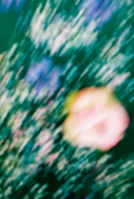 Vivid abstract image featuring a blurred floral pattern with dynamic colors and movement.