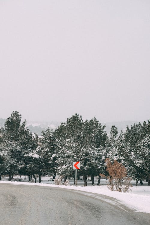 無料 交通標識, 冬, 垂直ショットの無料の写真素材 写真素材