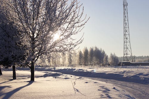 傳輸塔, 冬季, 樹木 的 免費圖庫相片