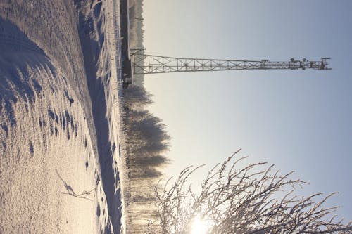 Photos gratuites de arbres, chemin de terre, ciel clair