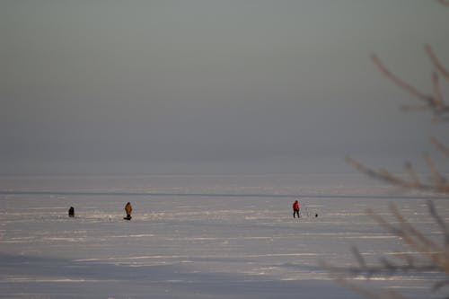 人, 冬季, 冰釣 的 免費圖庫相片