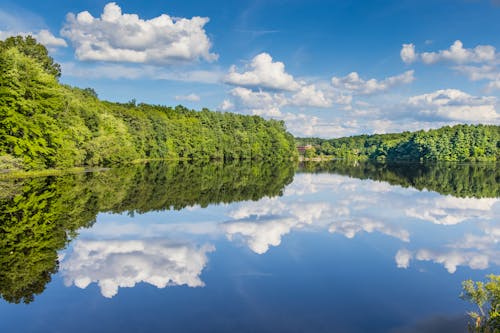 Darmowe zdjęcie z galerii z białe chmury, błękitne niebo, drzewa