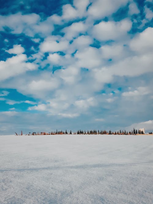 Kostenloses Stock Foto zu blauer himmel, jahreszeit, kalt