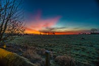 农场景观中，放牧的绵羊与美丽的日落相映成趣，突出了充满活力的天空和乡村的宁静