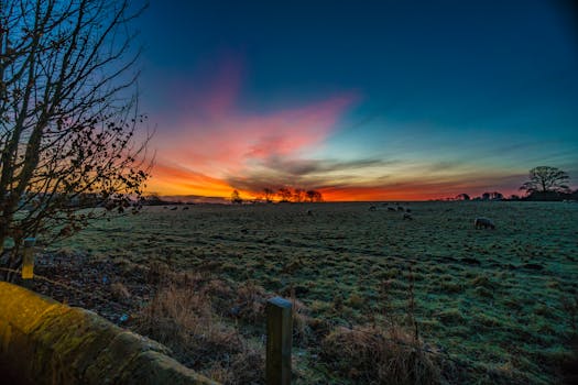 农场景观中，放牧的绵羊与美丽的日落相映成趣，突出了充满活力的天空和乡村的宁静