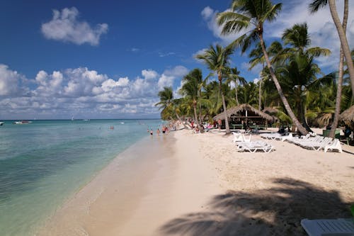 People on the  Beach