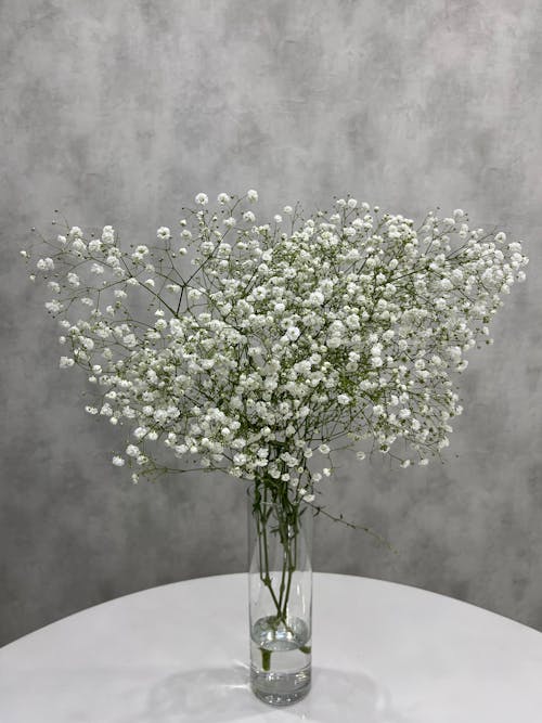 Free White Flowers on a Glass Vase Stock Photo